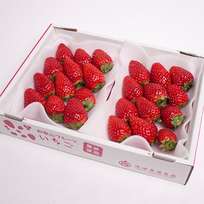 <4月より発送>朝摘み毬姫約600g(300g前後×2P)【和歌山ブランド苺】【いちごを農家直送】