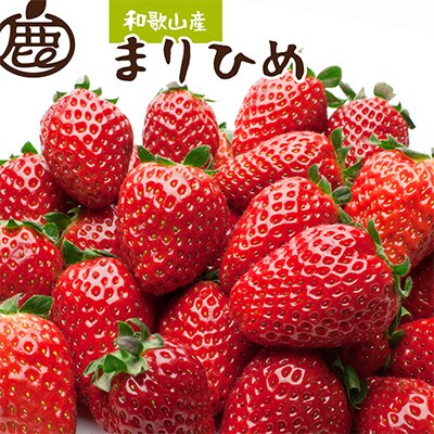 <4月より発送>朝摘み毬姫約1.2kg(300g前後×4P)【和歌山ブランド苺まりひめ】【いちご】