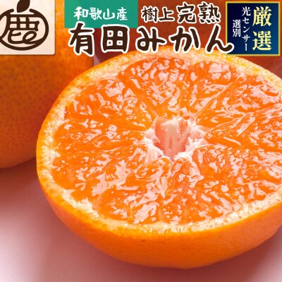 ＜2024年11月より発送＞家庭用 完熟有田みかん1kg+30g(傷み補償分)【わけあり・訳あり】