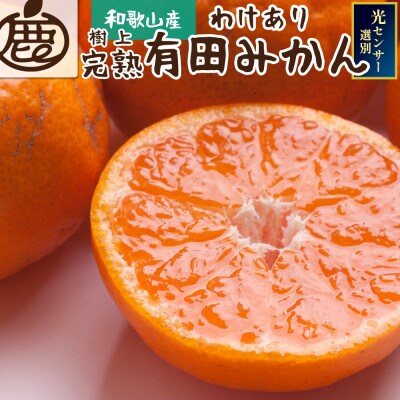 ＜先行受付＞家庭用 完熟有田みかん3.5kg+105g(傷み補償分)【光センサー選果】【わけあり】