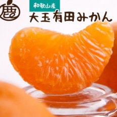 ＜先行受付＞厳選 大きな有田みかん4kg+120g(傷み補償分)【光センサー選果】