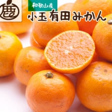 &lt;2024年11月より発送&gt;厳選 小玉な有田みかん3.5kg+105g(傷み補償分)【光センサー】