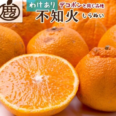 家庭用 不知火5kg+250g(傷み補償分)【デコポンと同品種・人気の春みかん】【訳あり】
