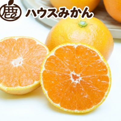 ハウスみかん2.5kg+250g(傷み補償分)【温室みかん・ハウス栽培】【有田みかん】
