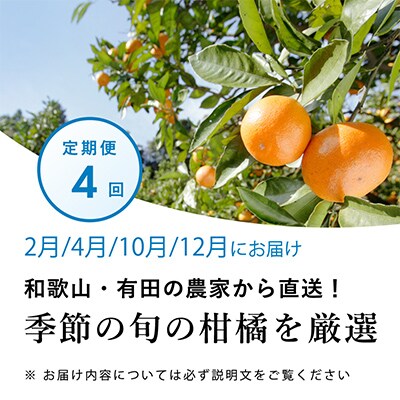【発送月固定定期便】季節の柑橘定期便B【フルーツ定期便】【和歌山県有田】全4回