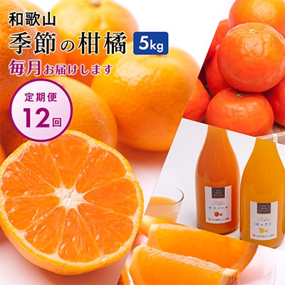 【発送月固定定期便】季節の柑橘定期便B【フルーツ定期便】【和歌山県有田】全12回