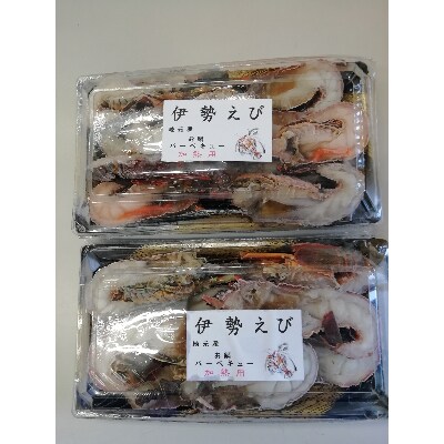 冷凍伊勢海老カット(小)約800g【日高町】