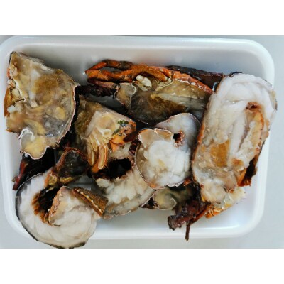 (お試し)冷凍伊勢海老カット【サイズ不揃い 約1kg】