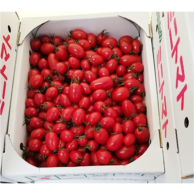 【発送月固定定期便】旬のフルーツ・野菜定期便 全6回