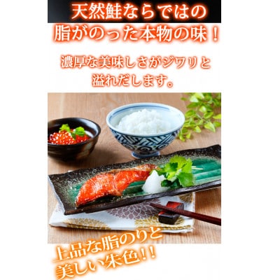 和歌山魚鶴仕込の天然紅サケ切身約1kg