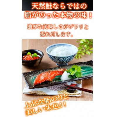 和歌山魚鶴仕込の天然紅サケ切身約2kg