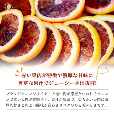 希少な柑橘!紀州有田産ブラッドオレンジ　約3kg 【ご家庭用】