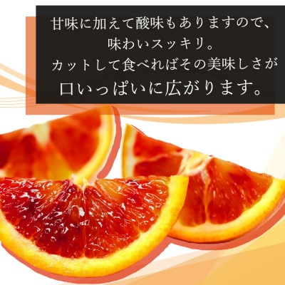 希少な柑橘!紀州有田産ブラッドオレンジ　約3kg 【ご家庭用】