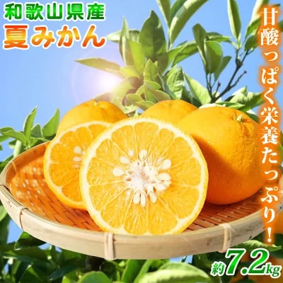 【2026年4月中旬より発送】夏みかん7.2kg【日高町】