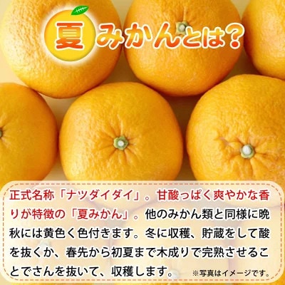 【2026年4月中旬より発送】夏みかん7.2kg【日高町】