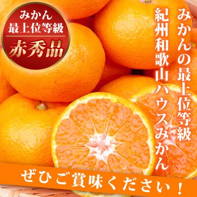 赤秀品　紀州和歌山ハウスみかん2.5kg【日高町】