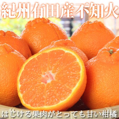【ご家庭用】紀州有田産不知火(しらぬひ) 約8.5kg【日高町】