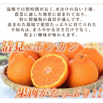 【2025年3月上旬発送】【ご家庭用】紀州有田産不知火(しらぬひ) 約8.5kg【日高町】