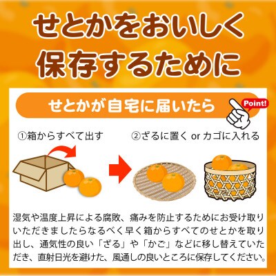 とろける食感!ジューシー柑橘　せとか　約3kg【日高町】
