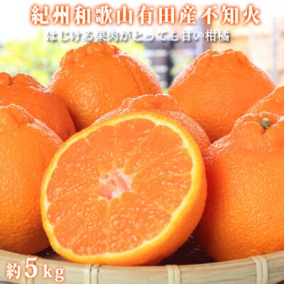 紀州有田産不知火(しらぬひ) 約5kg【日高町】