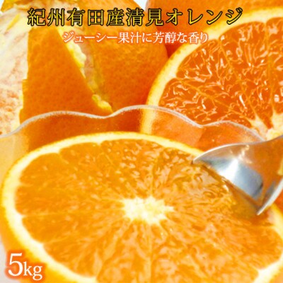 【2026年4月より発送】とにかくジューシー清見オレンジ　5kg【日高町】