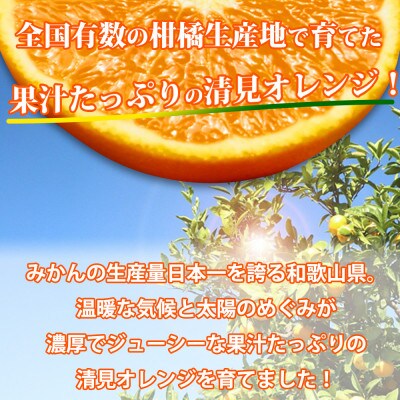 【2026年4月より発送】とにかくジューシー清見オレンジ　5kg【日高町】