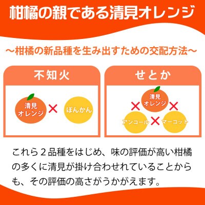 【2026年4月より発送】とにかくジューシー清見オレンジ　5kg【日高町】