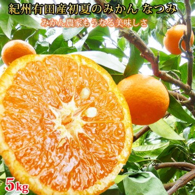 【2026年4月中旬より発送】初夏のみかん　なつみ5kg【日高町】