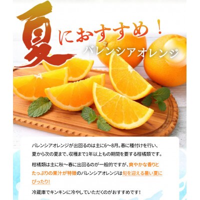 【2025年6月下旬発送】秀品　希少な国産バレンシアオレンジ　5kg【日高町】