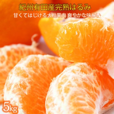 果肉ぷりぷり!完熟はるみ　5kg【日高町】