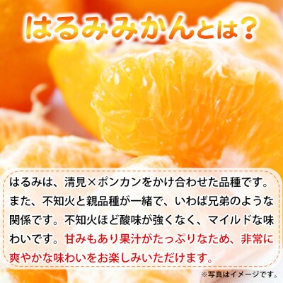 果肉ぷりぷり!完熟はるみ　5kg【日高町】