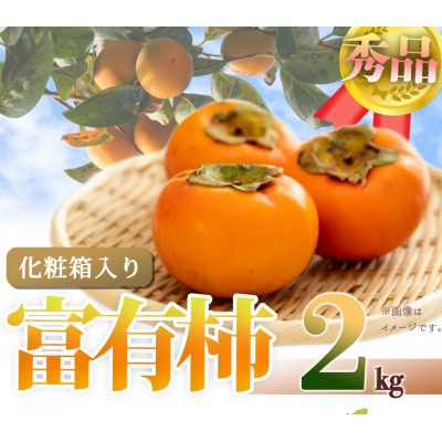 【2025年11月発送】和歌山秋の味覚　富有柿　約2kg　化粧箱入【日高町】