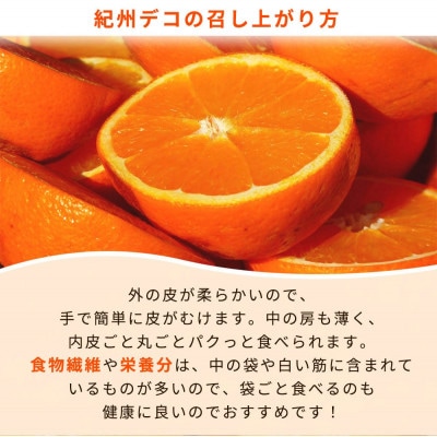 【日高町】高級ブランド田村の完熟紀州デコ(不知火) 約4.5kg
