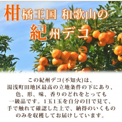 【日高町】高級ブランド田村の完熟紀州デコ(不知火) 約4.5kg