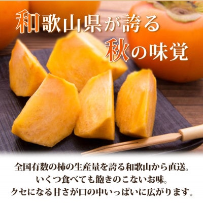 【先行受付】【ご家庭用わけあり】和歌山秋の味覚　平核無柿(ひらたねなしがき)　約3.5kg