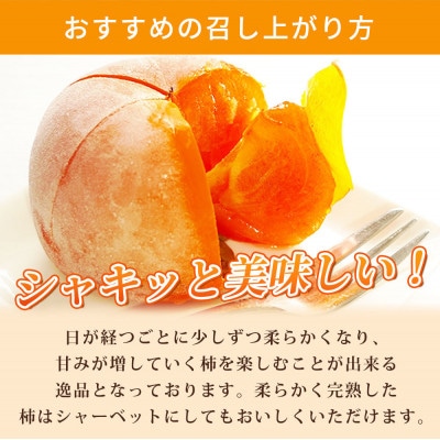 【先行受付】【ご家庭用わけあり】和歌山秋の味覚　平核無柿(ひらたねなしがき)　約3.5kg