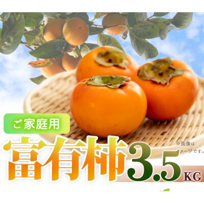 【2025年11月発送】【ご家庭用わけあり】和歌山秋の味覚　富有柿　約3.5kg