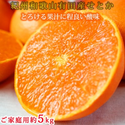 【2026年2月上旬頃より発送】ご家庭用訳あり　紀州和歌山産　せとか　約5kg