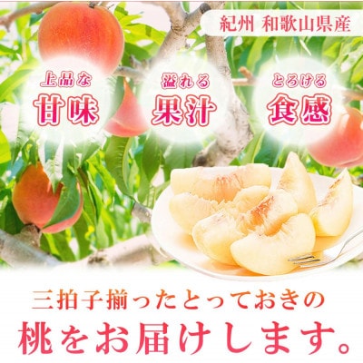 【2025年7月より発送】紀州和歌山産の桃　秀品 3玉 化粧箱入
