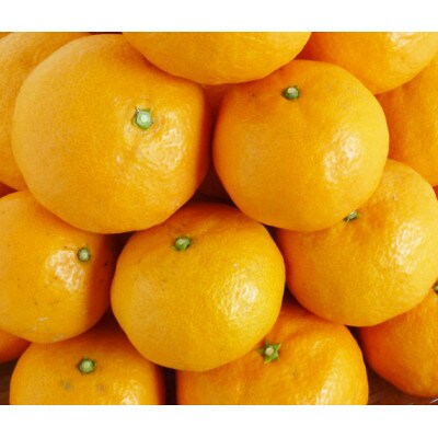 【2026年4月より発送】初夏のみかん　なつみ3kg