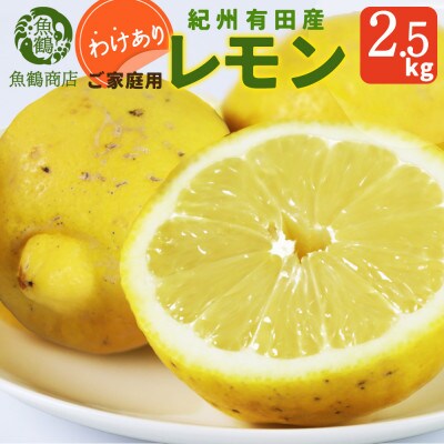 【ご家庭用訳あり】紀州有田産レモン　2.5kg
