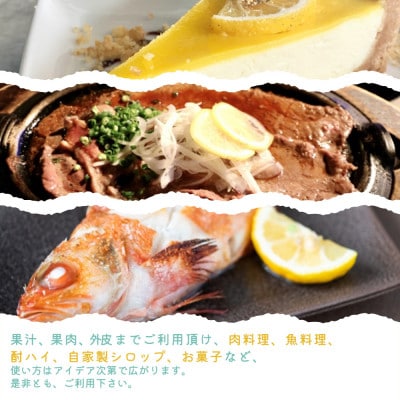 【ご家庭用訳あり】紀州有田産レモン　2.5kg