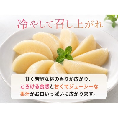 【2027年6月下旬頃順次発送予定】紀州和歌山産の桃　15玉　化粧箱入