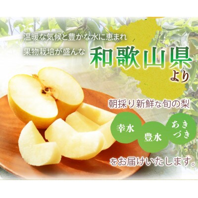 紀州和歌山産の梨　約2kg　化粧箱入