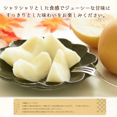 紀州和歌山産の梨　約2kg　化粧箱入