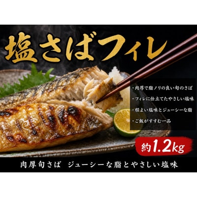 【ご家庭用訳あり】人気の塩さばフィレ&紅鮭切身セット計2kg