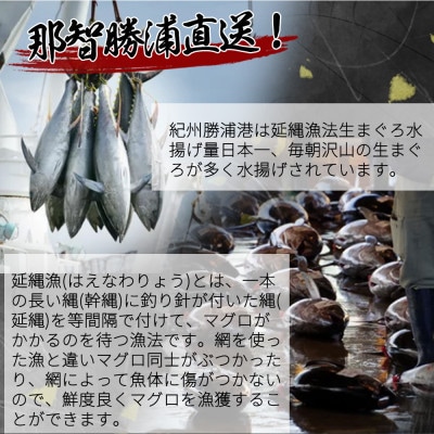 那智勝浦直送!天然生まぐろ　柵　500g
