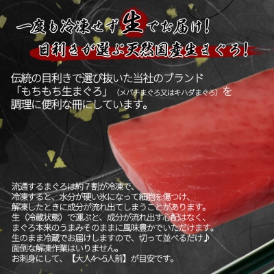 那智勝浦直送!天然生まぐろ　柵　500g