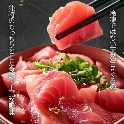 那智勝浦直送!天然生まぐろ　柵　500g