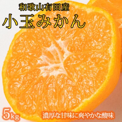 有田の小粒みかん5kg　(S～3Sサイズ混合)